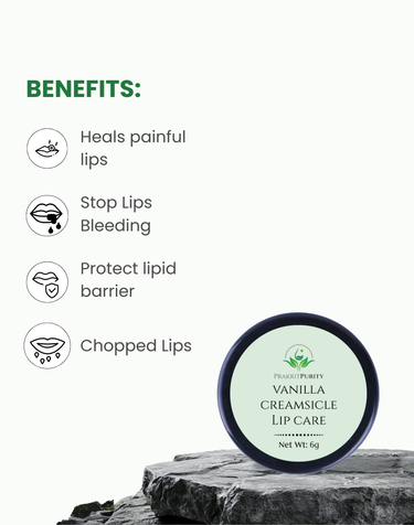 Vanilla Creamsicle Lip Care 6g