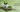 Benefits of Neem Soap for Skin – Neem Soap Uses for Skin