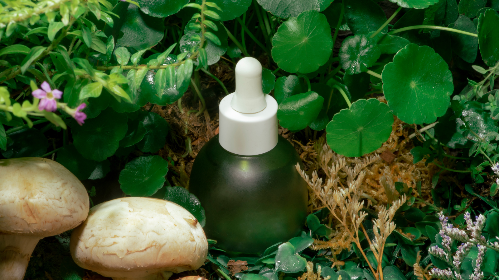 Common Myths About Natural Skincare: The Truth You Need to Know